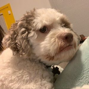 Meet your Posher, Cristina